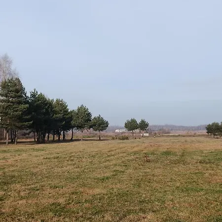 Zagajnik Country Camp Obok Suntago Дом отдыха *