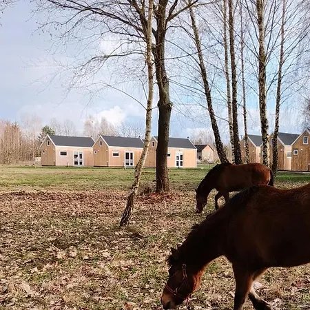 Будинок відпочинку Zagajnik Country Camp Obok Suntago Grabce-Towarzystwo