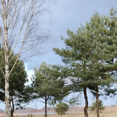 Zagajnik Country Camp Obok Suntago Grabce-Towarzystwo