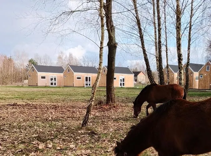 Dom wakacyjny Zagajnik Country Camp Obok Suntago Grabce-Towarzystwo